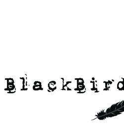 Chaussures blackbird - 1 - 