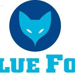 Blue Fox Dourdan
