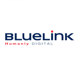 Commerce Informatique et télécom Bluelink - 1 - 