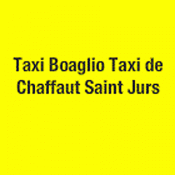 Les Taxis Duyes Bleone Digne Les Bains