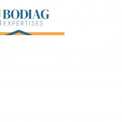 Diagnostic immobilier Bodiag Expertises  - Diagnostic immobilier - 1 - 