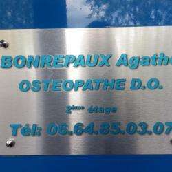 Ostéopathe BONREPAUX Agathe - 1 - 
