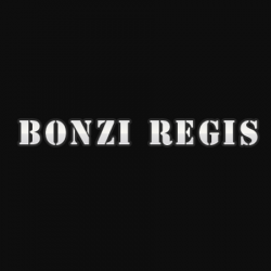 Constructeur Bonzi Régis - 1 - 