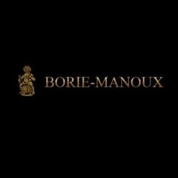 Centres commerciaux et grands magasins Borie Manoux - 1 - 