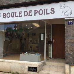 Boule De Poils Avallon
