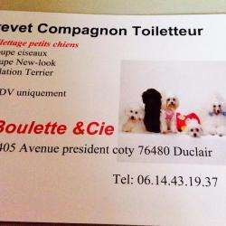 Salon de toilettage Boulette & Cie - 1 - 