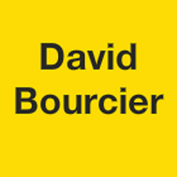 Bourcier David