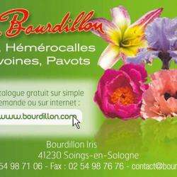 Bourdillon Iris Soings En Sologne