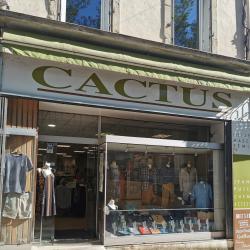 Boutique Cactus