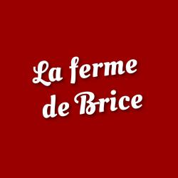 Brice Lavocat Fraisiculteur Et Maraîcher Acy