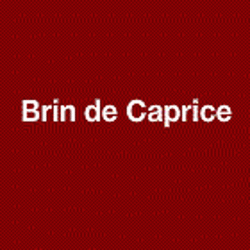 Coiffeur Brin de Caprice - 1 - 