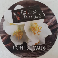 Brin De Nature Pont De Vaux