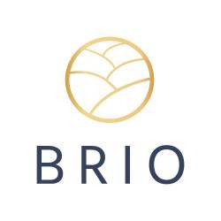 Restaurant Brio  - 1 - 