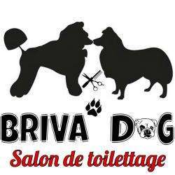 Briva Dog Vieille Brioude