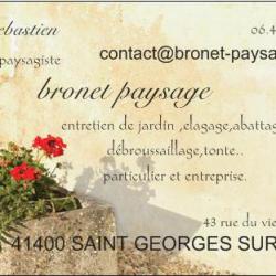 Bronet Paysage Saint Georges Sur Cher