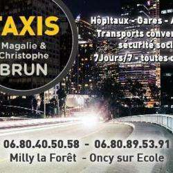 Taxi Brun - 1 - 