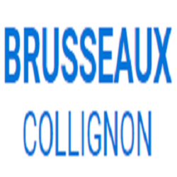 Electricien Entreprise Brusseaux Colignon  - 1 - 