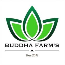 Buddha Farm's - Distributeur Automatique Terville
