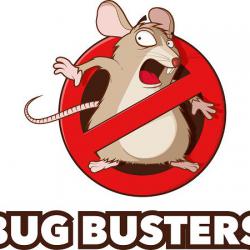 Désinsectisation et Dératisation Bug Busters - 1 - 