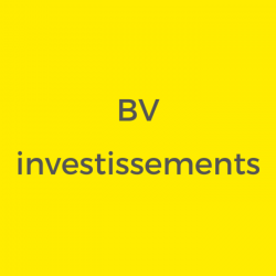 Bv Investissement