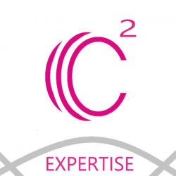 Comptable C2 EXPERTISE - 1 - 