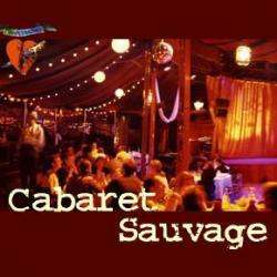 Théâtre et salle de spectacle Cabaret Sauvage - 1 - 