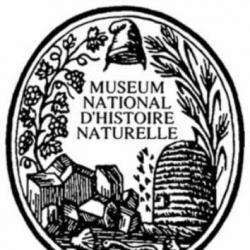 Cabinet D'histoire Paris