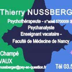 Cabinet De Psychothérapie Et De Psychanalyse Thierry Nussberger Vaux