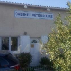 Cabinet Veterinaire Caffa Saint Rémy De Provence