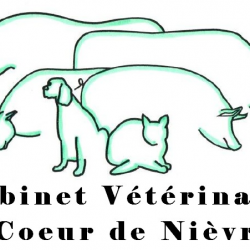 Vétérinaire Cabinet Vétérinaire Coeur De Nièvre - 1 - 