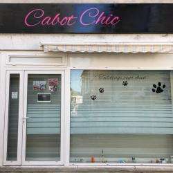 Salon de toilettage cabot chic - 1 - Crédit Photo : Page Facebook, Cabot Chic - 