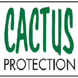 Sécurité Cactus Protection - 1 - 