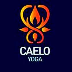 Yoga Caelo Yoga Restorative - 1 - 