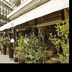 Café M Paris