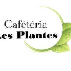 Restaurant CAFETERIA LES PLANTES - 1 - 