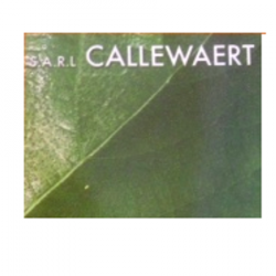 Jardinage Callewaert - 1 - 