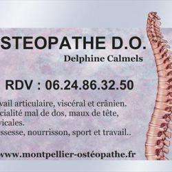 Ostéopathe Calmels Delphine - 1 - 