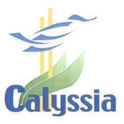 Piscine CALYSSIA - 1 - 