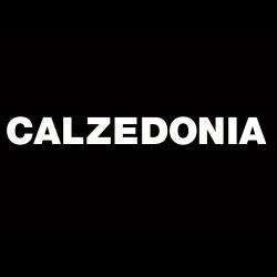 Calzedonia Albi