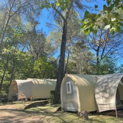 Hôtel et autre hébergement Camping Le Mas De Reilhe - 1 - 