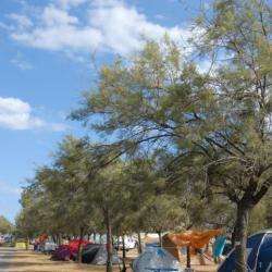 Camping Municipal Barberousse