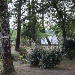 Camping Parc Du Bel Air Vielle Saint Girons