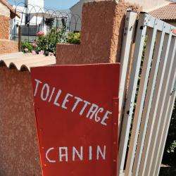Salon de toilettage Canin Câlin toilettage pour chien - 1 - 