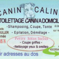 Canin Caline Cabourg