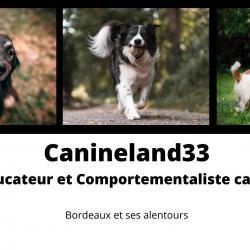 Dressage Canineland33  - 1 - Canineland33 – Educateur Et Comportementaliste Canin à Bordeaux Et Ses Alentours - 