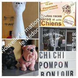 Animalerie Chichi - Pompon - 1 - 