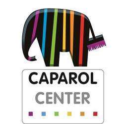 Caparol Center Bourgoin Jallieu