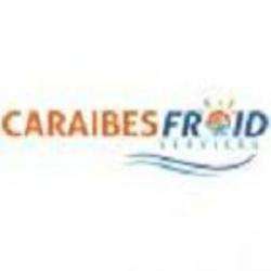 Entreprises tous travaux Caraïbes Froid Services - 1 - 