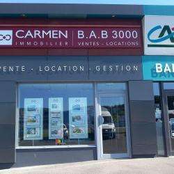 Agence immobilière CARMEN BAB3000 - 1 - 