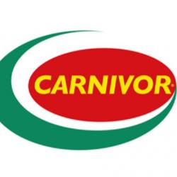 Carnivor Montpellier